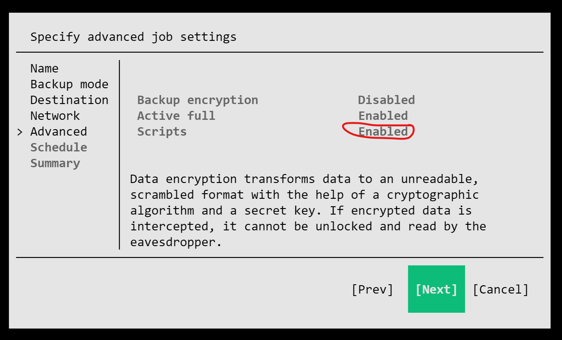veeam job setup enable scripts